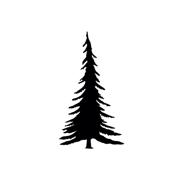 Coniferous trees silhouettes — Stock Vector