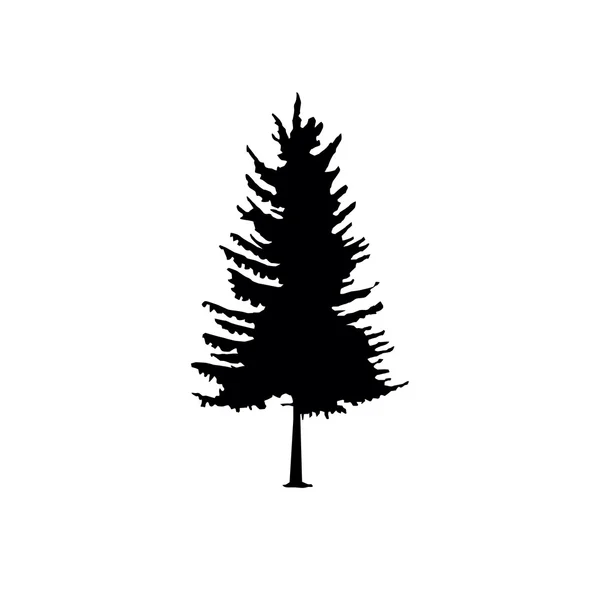 Coniferous trees silhouettes — Stock Vector