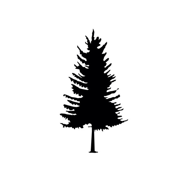 coniferous trees silhouettes