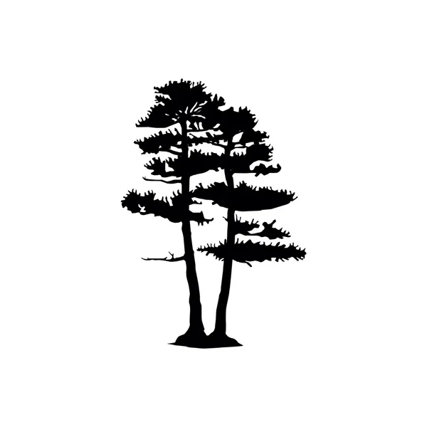 Coniferous trees silhouette — Stock Illustration Coniferous trees silhouette Vector Graphics