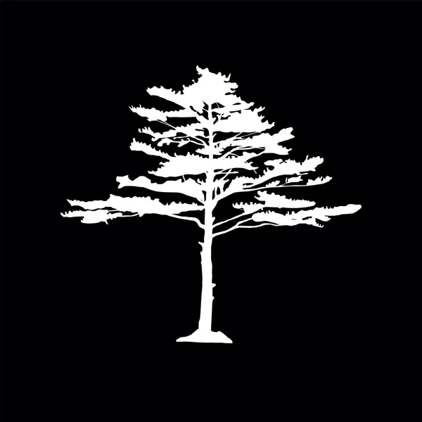 Coniferous trees silhouettes — Stock Illustration Coniferous trees silhouettes Stock Vector