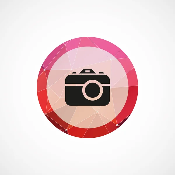 Foto fotocamera cerchio rosa triangolo sfondo ico — Vettoriale Stock