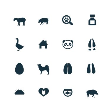 Hayvan, Evcil hayvan simgeler kümesi