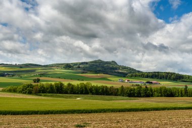 Hegau landscape with view of the Hohenstoffeln, Konstanz district, Baden-Wuerttemberg, Germany