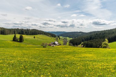 Landscape in Black Forest with traditional farm house and flower meadow, Jostal near Breitnau, Baden-Wuerttemberg, Germany