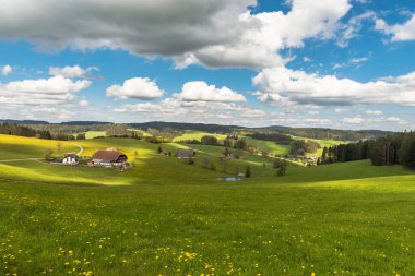 Farm houses and flower meadow in Black Forest, Jostal near Breitnau, Baden-Wuerttemberg, Germany