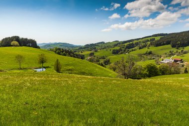Green, hilly landscape in the Black Forest with scattered farms, Baden-Wuerttemberg, Germany