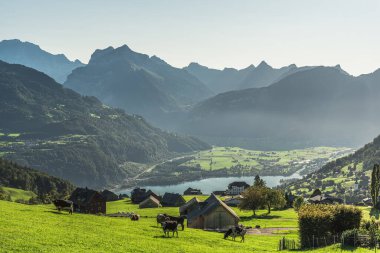Alpine landscape overlooking Lake Walensee near Amden, Canton of St. Gallen, Switzerland
