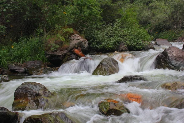 Río Montaña Con Rápidos Rocosos — Foto de Stock