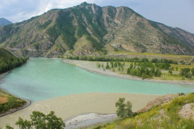 Chuya ve Katun nehirlerinin birleştiği yer.