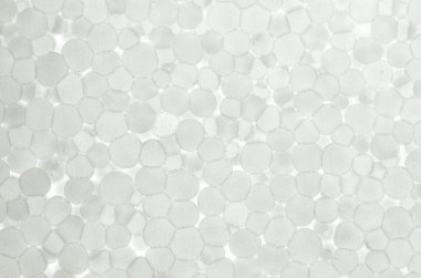 köpük beyaz doku arka planı için 