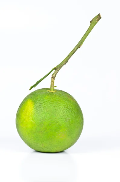 Зелений апельсин зі стеблом ізольовано на білому — стокове фото