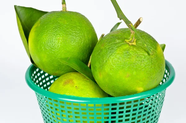 Green orange with stem isolated on white — Stock Photo, Image