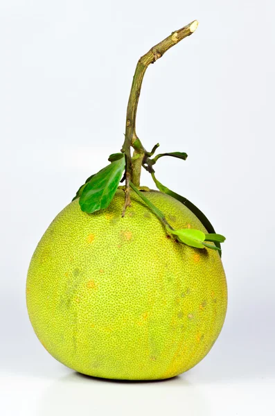 Зелений апельсин зі стеблом ізольовано на білому — стокове фото