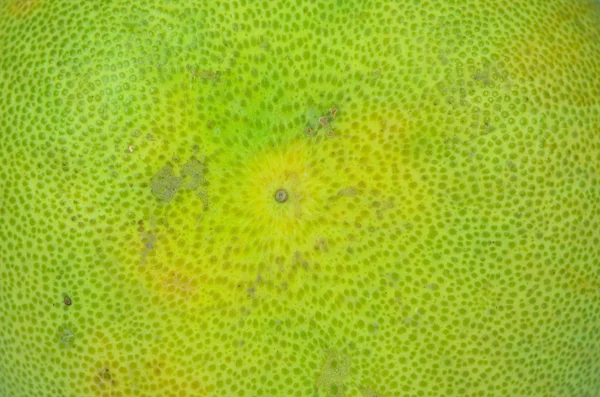 Groen oranje met stam geïsoleerd op wit — Stockfoto