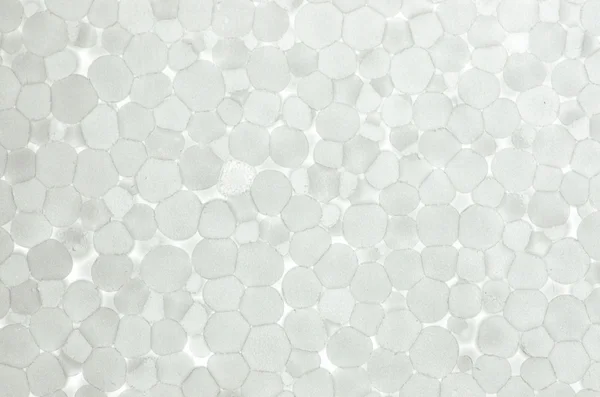 Foam white texture for background — Stock Photo, Image