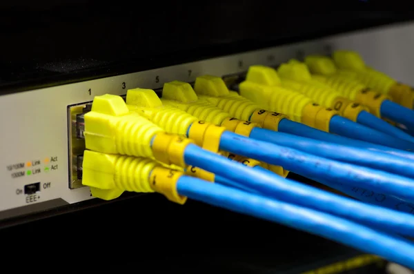Geïsoleerde Ethernet-switch en router verbinding maken met lan kleurrijke — Stockfoto