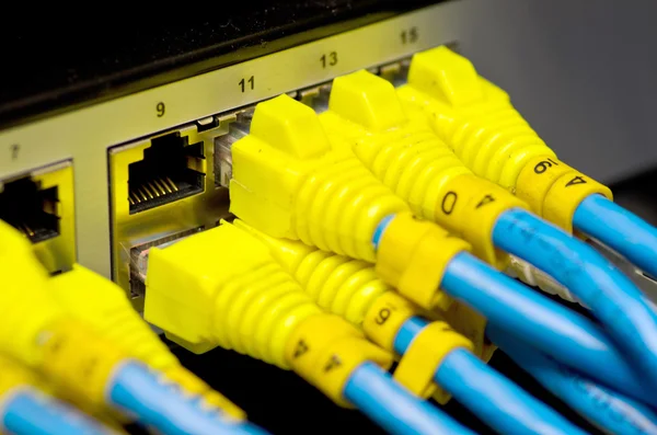 Netwerk switch en utp ethernet-kabels — Stockfoto