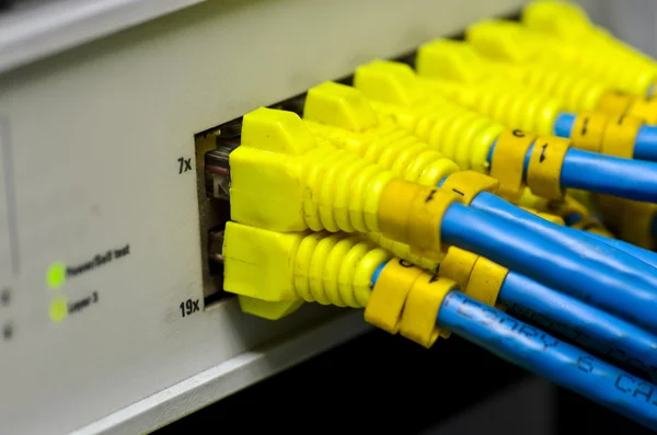 Geïsoleerde Ethernet-switch en router verbinding maken met lan kleurrijke — Stockfoto