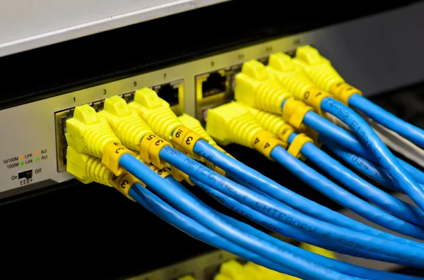 Geïsoleerde Ethernet-switch en router verbinding maken met lan kleurrijke — Stockfoto