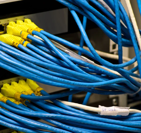 Geïsoleerde Ethernet-switch en router verbinding maken met lan kleurrijke — Stockfoto