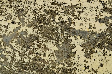 kirli paslı beyaz eski duvar arka planı için 