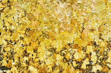 Altın yaprak. Arkaplan ve dokular için. 