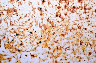 paslı metal arka plan 