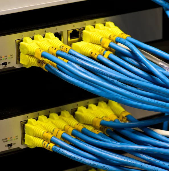 Geïsoleerde Ethernet-switch en router verbinding maken met lan kleurrijke — Stockfoto