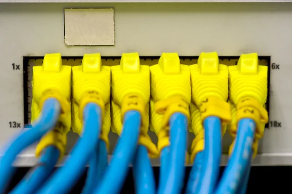 Geïsoleerde Ethernet-switch en router verbinding maken met lan kleurrijke — Stockfoto