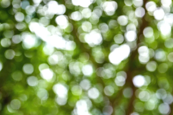 Bokeh Hintergrund. Gestaltungselement. — Stockfoto