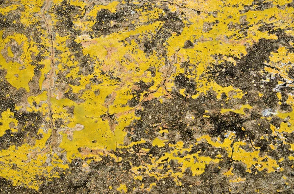 Fond de vieux mur peint en jaune — Photo