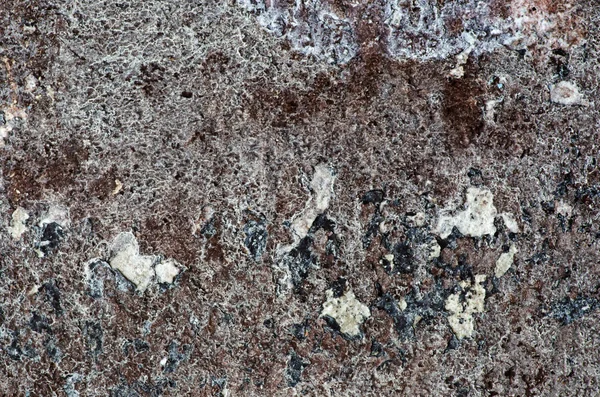 Mur grungy brun - De superbes textures pour votre design — Photo