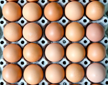 satır paket üzerinde yumurta olduğunu 