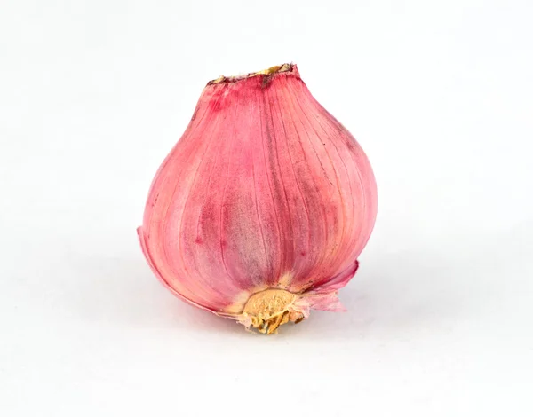 Bawang Shallot terisolasi di atas latar belakang putih . — Stok Foto