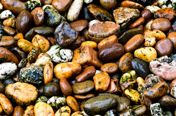 Mokrego kamienia brązowy — Zdjęcie stockowe