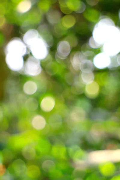 Herfst heldere bokeh achtergrond. Natuurlijke schoonheid achtergrond. — Stockfoto