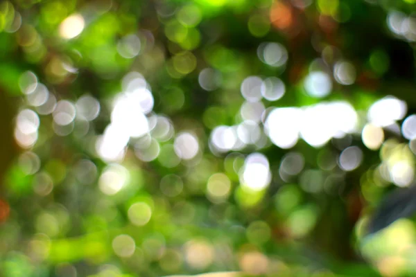 Herfst heldere bokeh achtergrond. Natuurlijke schoonheid achtergrond. — Stockfoto