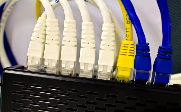 Close-up van computer netwerk stekkers verbonden met een router switc — Stockfoto