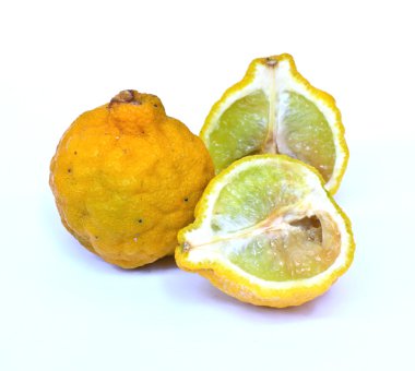 Çürüklüğü sarı Kaffir limonu