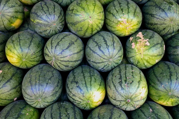 Muitas melancias verdes doces — Fotografia de Stock