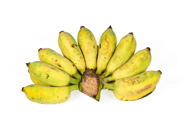 Cultivated banana isolated on white background — Stock Photo, Image