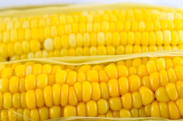 Closeup corn boiled — Stock Photo, Image