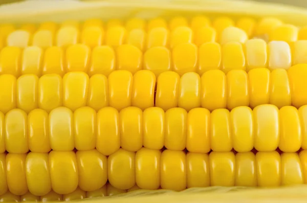 Nahaufnahme Mais gekocht — Stockfoto