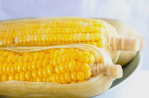 Closeup corn boiled — Stock Photo, Image