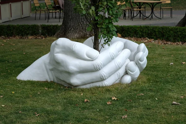 White hands are holding a tree sculpture. The symbol of conservation and protection of nature.