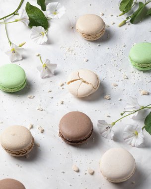 Vanilya, şam fıstığı ve beyaz arka planda çiçekli çikolatalı makarna. Fransız tatlısı.