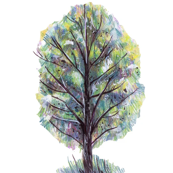 Illustrazione Albero Colorato Erba — Foto Stock