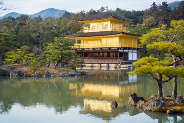 Kinkaku-ji Tapınağı, Japonya. 