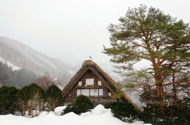 Kış Shirakawago, Japonya